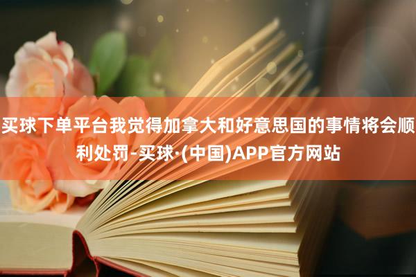买球下单平台我觉得加拿大和好意思国的事情将会顺利处罚-买球·(中国)APP官方网站
