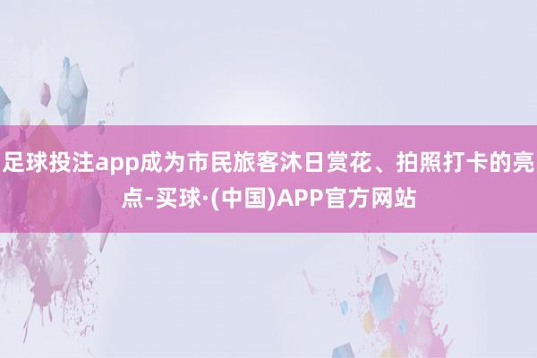 足球投注app成为市民旅客沐日赏花、拍照打卡的亮点-买球·(中国)APP官方网站