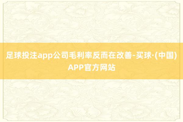 足球投注app公司毛利率反而在改善-买球·(中国)APP官方网站