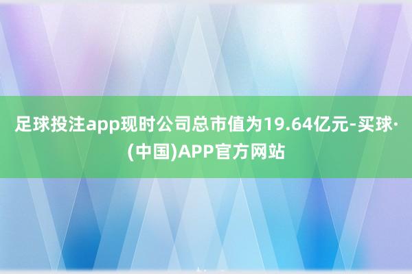 足球投注app现时公司总市值为19.64亿元-买球·(中国)APP官方网站