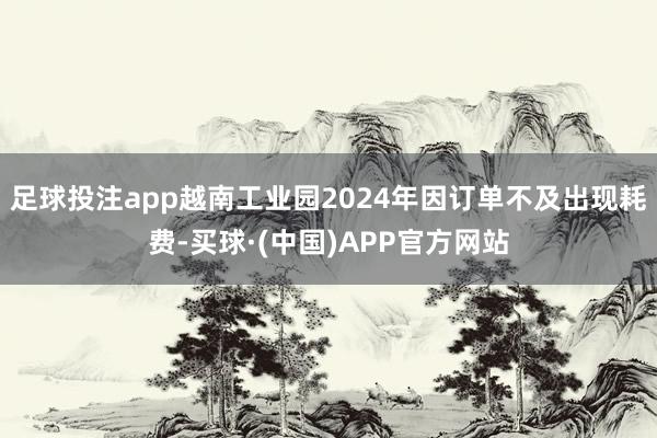足球投注app越南工业园2024年因订单不及出现耗费-买球·(中国)APP官方网站